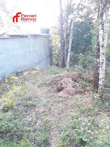 Foto Terreno