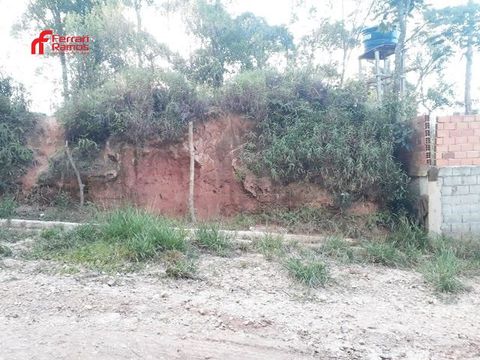 Foto Terreno
