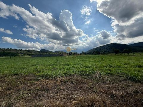 Foto Terreno