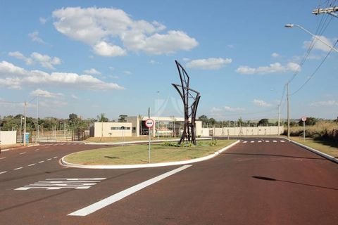 Foto Terreno