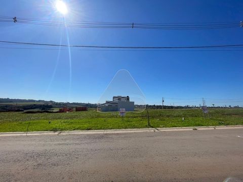 Foto Terreno