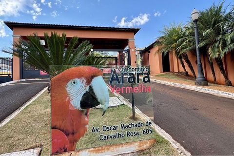 Foto Terreno