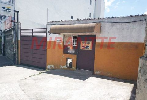 Foto Terreno