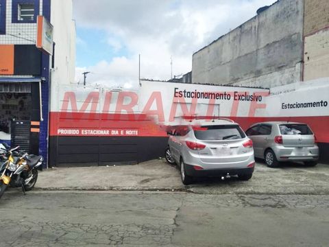 Foto Terreno