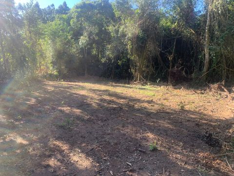 Foto Terreno