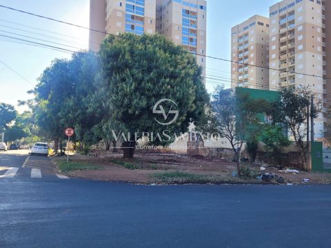Foto Terreno
