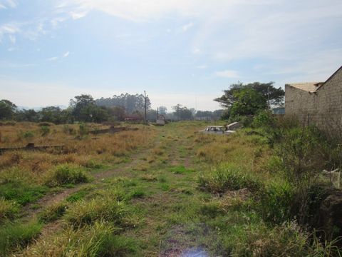 Foto Terreno