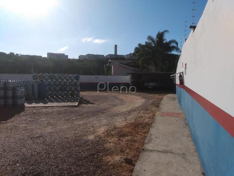 Foto Terreno