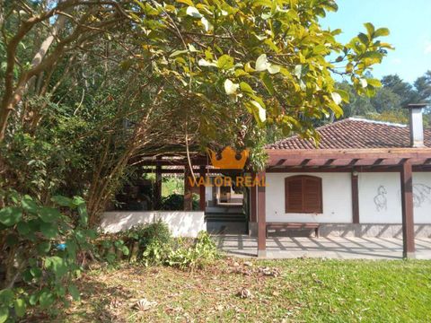 Foto Fazenda / Sítio / Chácara