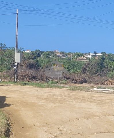 Foto Terreno