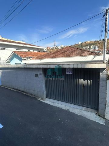 Foto Terreno