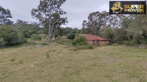 Foto Fazenda / Sítio / Chácara