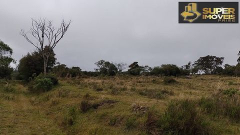 Foto Fazenda / Sítio / Chácara