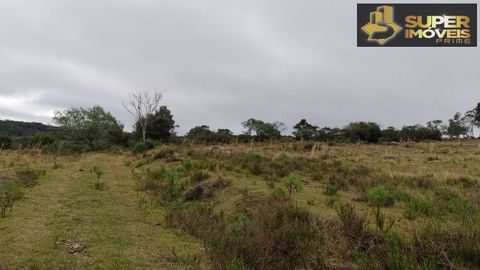 Foto Fazenda / Sítio / Chácara