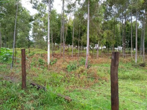 Foto Fazenda / Sítio / Chácara