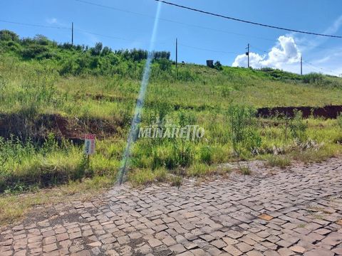 Foto Terreno