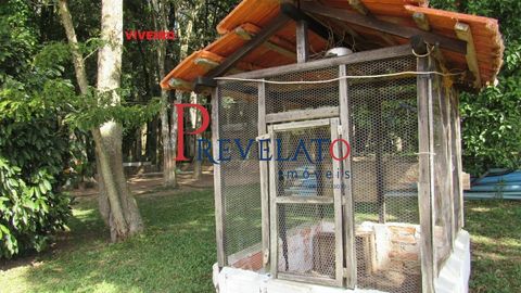 Foto Fazenda / Sítio / Chácara