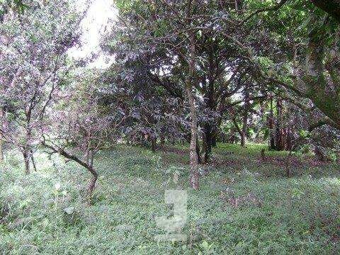 Foto Sala / Conjunto Comercial
