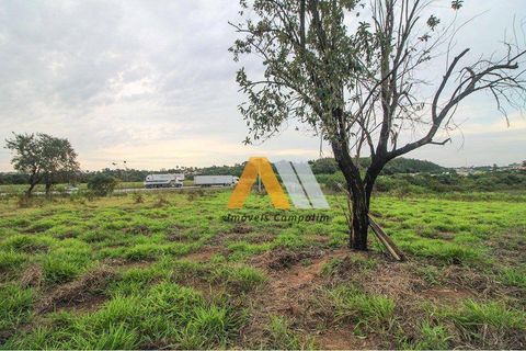 Foto Terreno