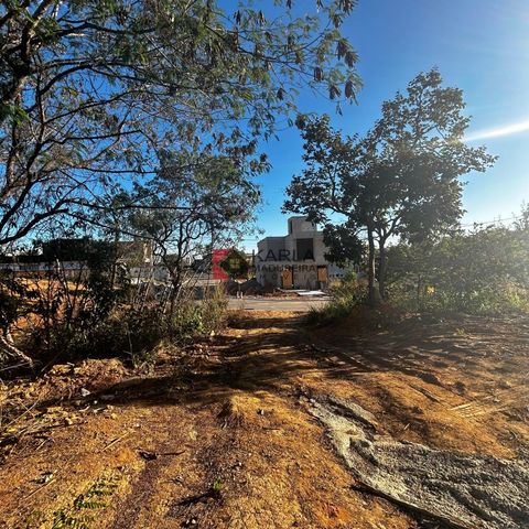 Foto Terreno