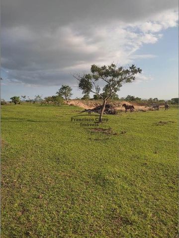 Foto Fazenda / Sítio / Chácara