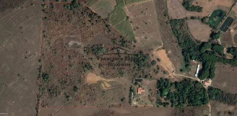 Foto Fazenda / Sítio / Chácara