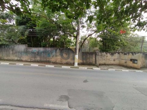 Foto Terreno