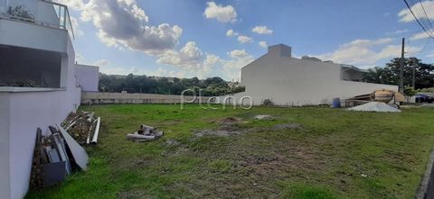Foto Terreno
