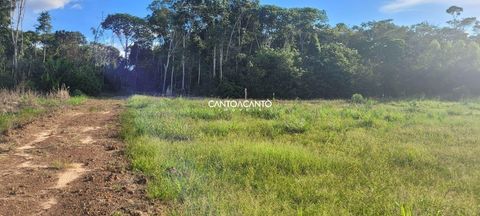 Foto Fazenda / Sítio / Chácara