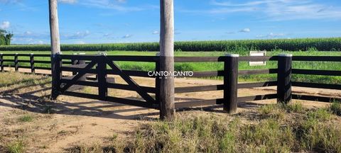 Foto Fazenda / Sítio / Chácara