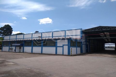Foto Galpão / Depósito / Armazém / Pavilhão