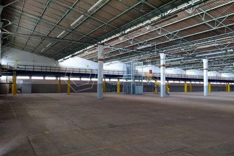 Foto Galpão / Depósito / Armazém / Pavilhão