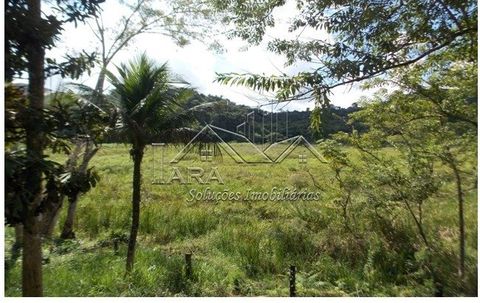 Foto Fazenda / Sítio / Chácara