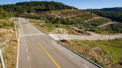 Foto Terreno