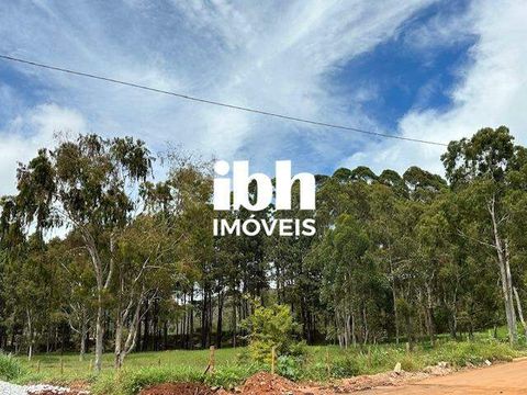 Foto Terreno