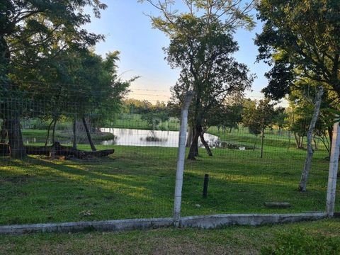 Foto Fazenda / Sítio / Chácara