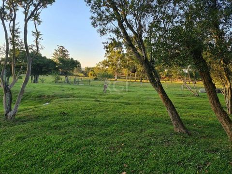 Foto Fazenda / Sítio / Chácara