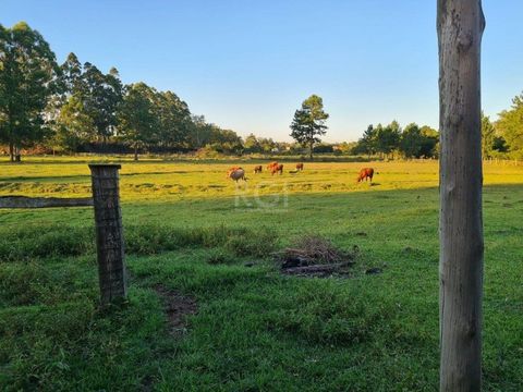 Foto Fazenda / Sítio / Chácara
