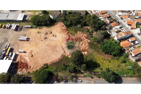 Foto Terreno