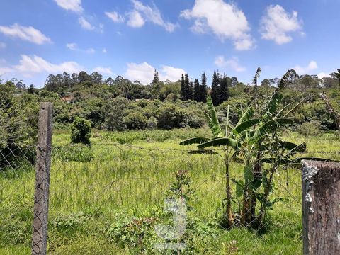 Foto Fazenda / Sítio / Chácara