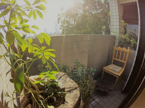 Foto Apartamento