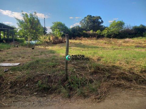 Foto Terreno