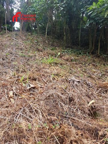 Foto Terreno