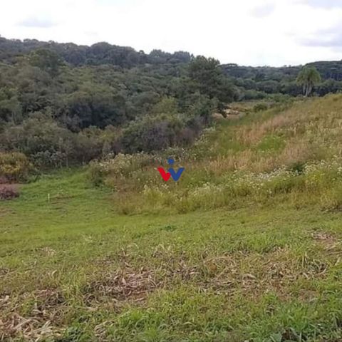 Foto Fazenda / Sítio / Chácara