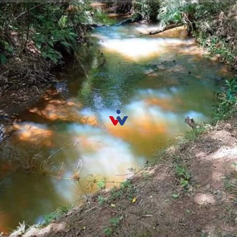 Foto Fazenda / Sítio / Chácara