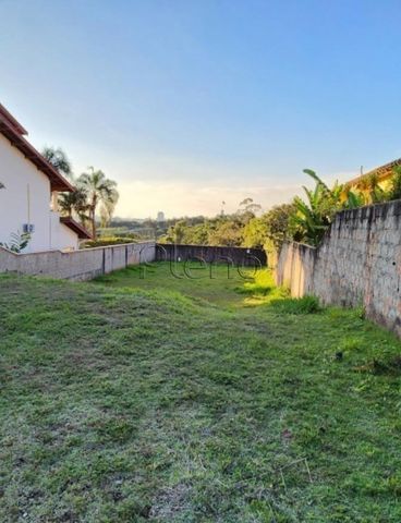 Foto Terreno