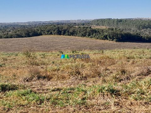 Foto Fazenda / Sítio / Chácara