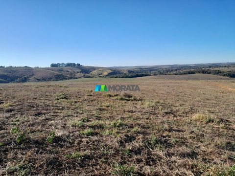 Foto Fazenda / Sítio / Chácara