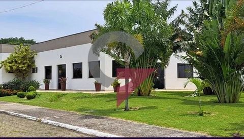 Foto Terreno