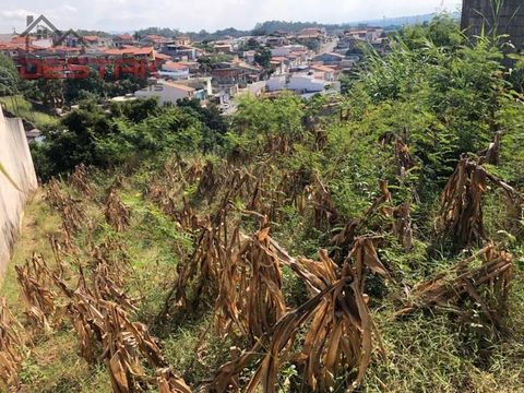 Foto Terreno